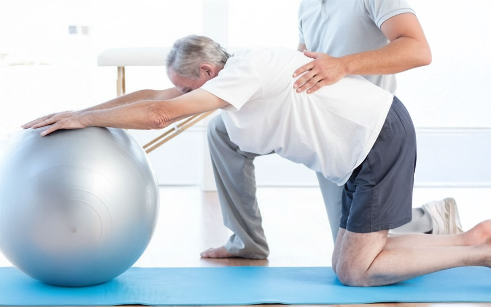 Fisioterapia Adultos